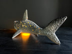 Shark-shaped lamp with glowing interior on a dark surface