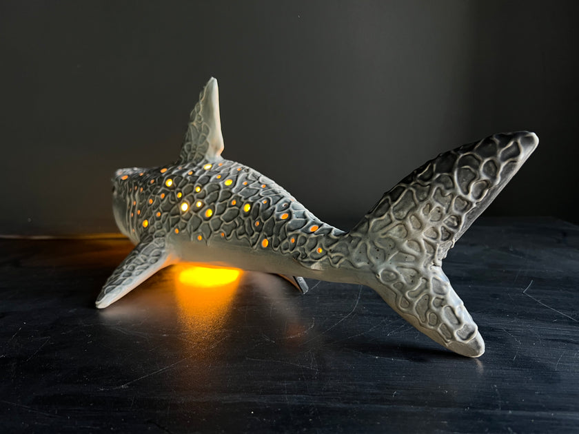 Shark-shaped lamp with glowing interior on a dark surface