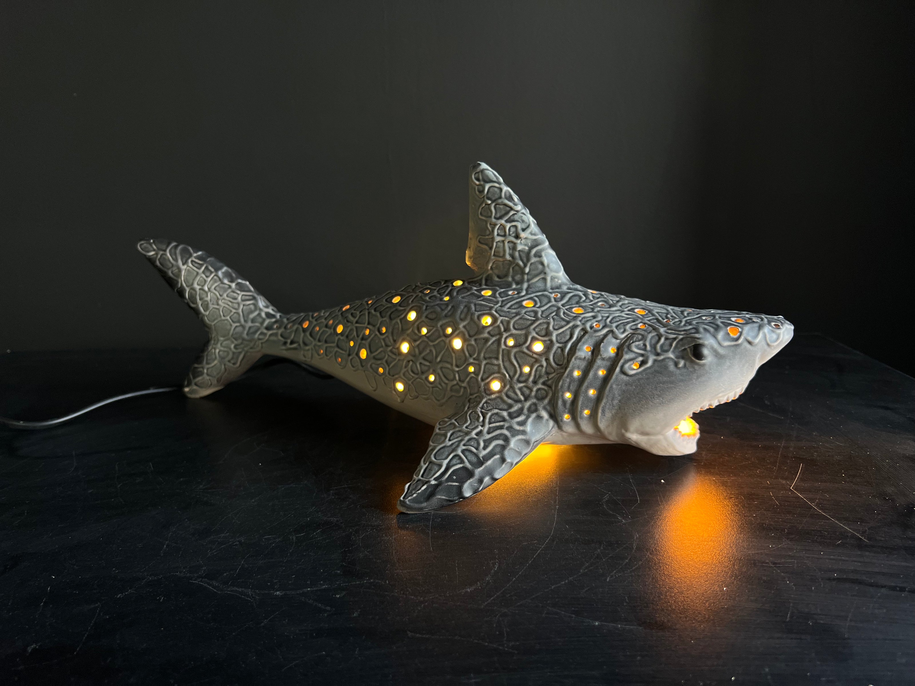 Shark-shaped lamp with embedded lights on a dark surface