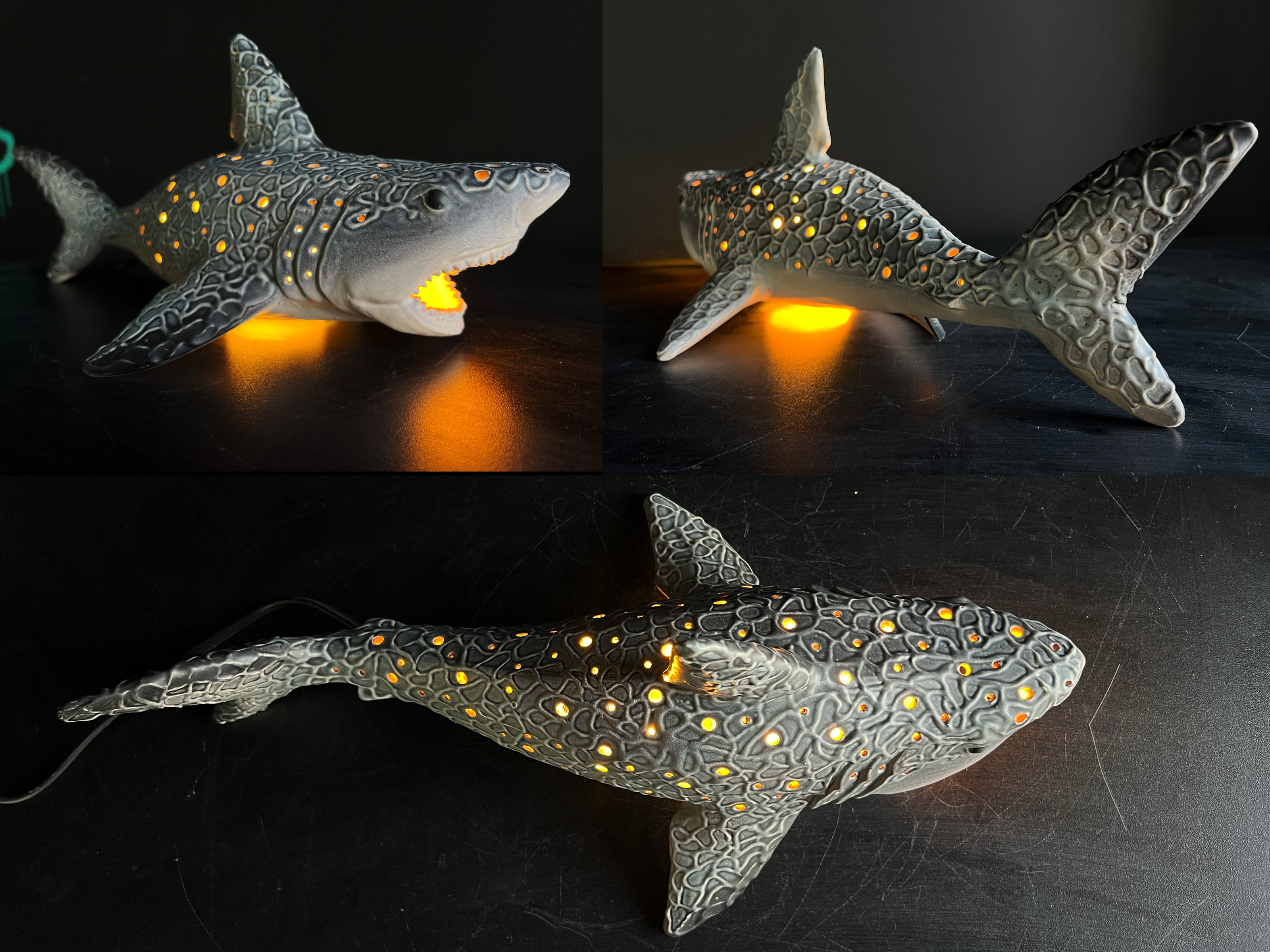 Shark-shaped night light with glowing interior on a dark surface