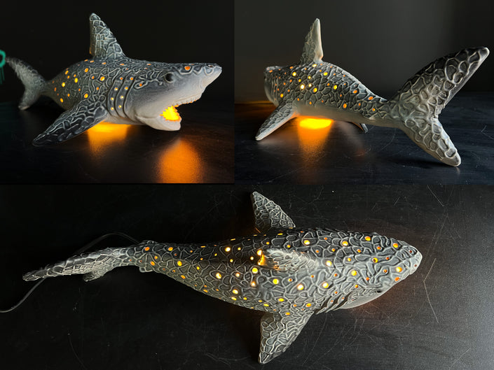 Shark-shaped night light with glowing interior on a dark surface