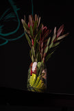Decorative ceramic vase with plants on a dark background