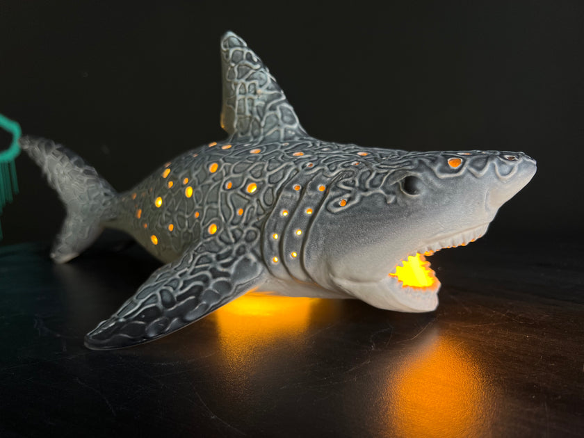 Shark-shaped night light with glowing interior on a dark surface