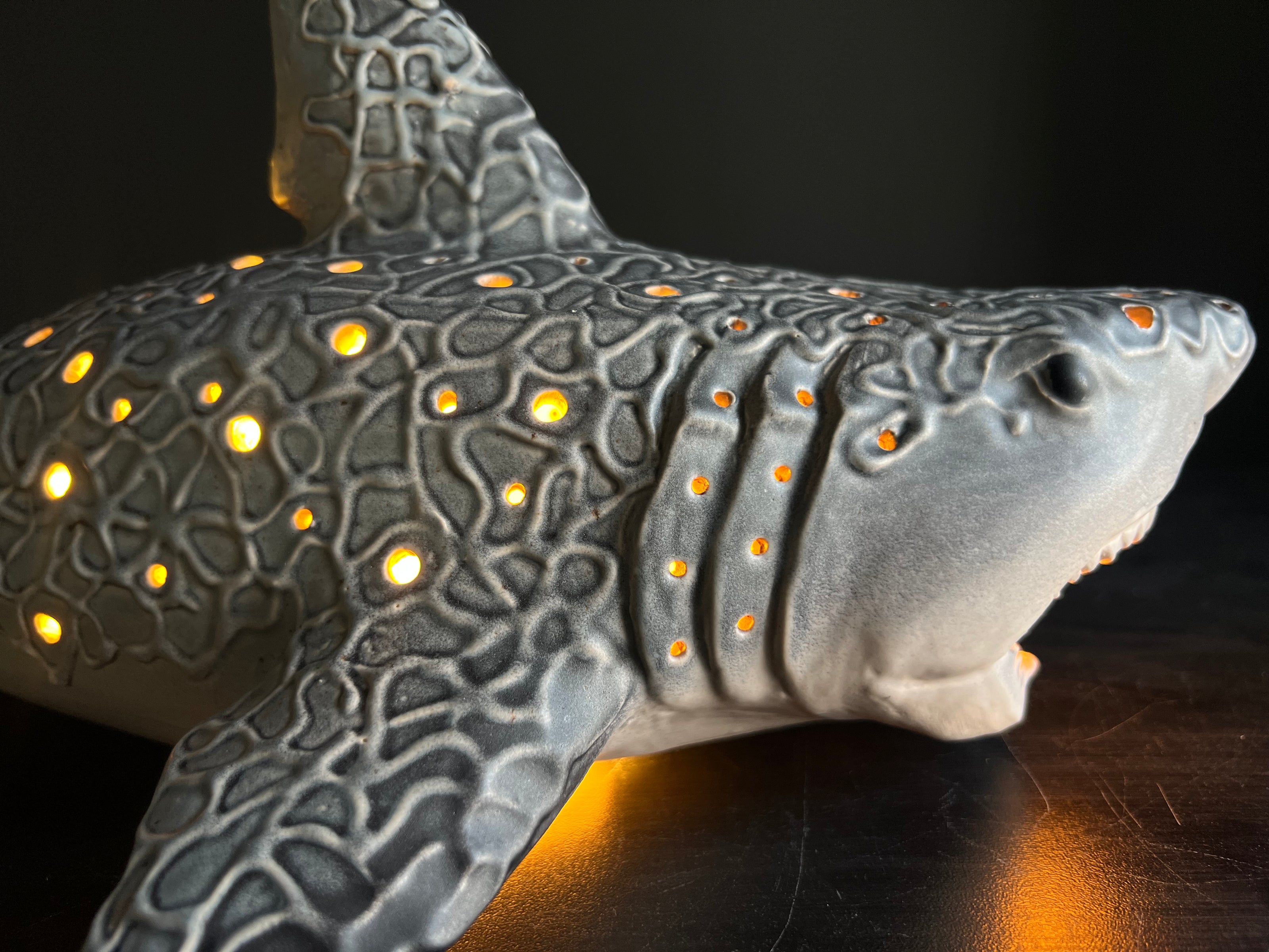 Shark-shaped night light with glowing interior on a dark background
